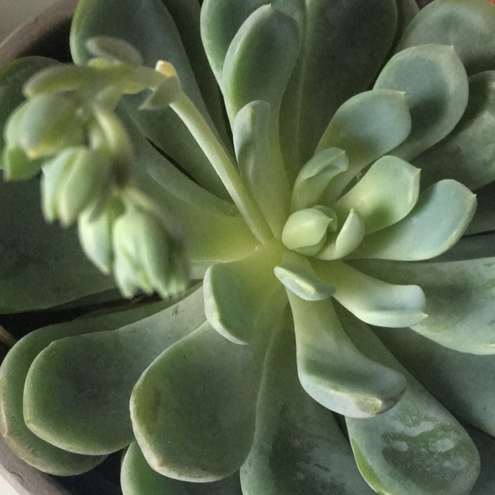 Meet your Posher, Nn